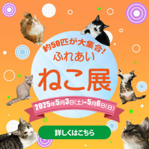 neko-525
